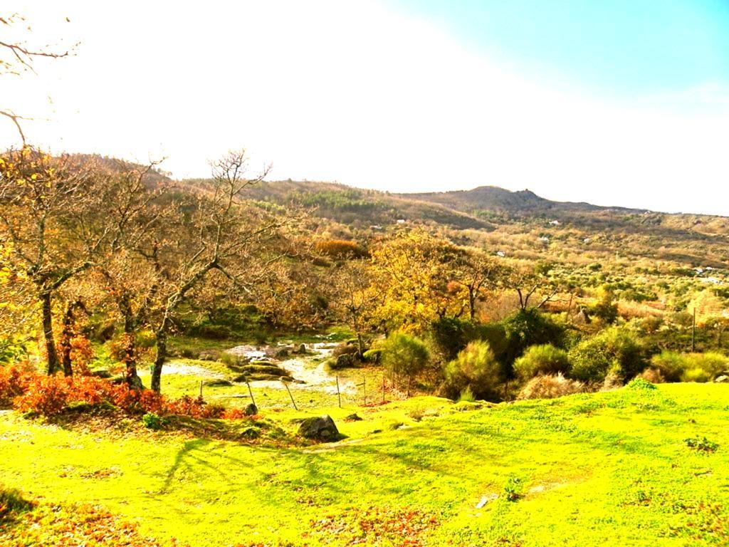Гостевой дом Quinta Do Marvao Номер фото