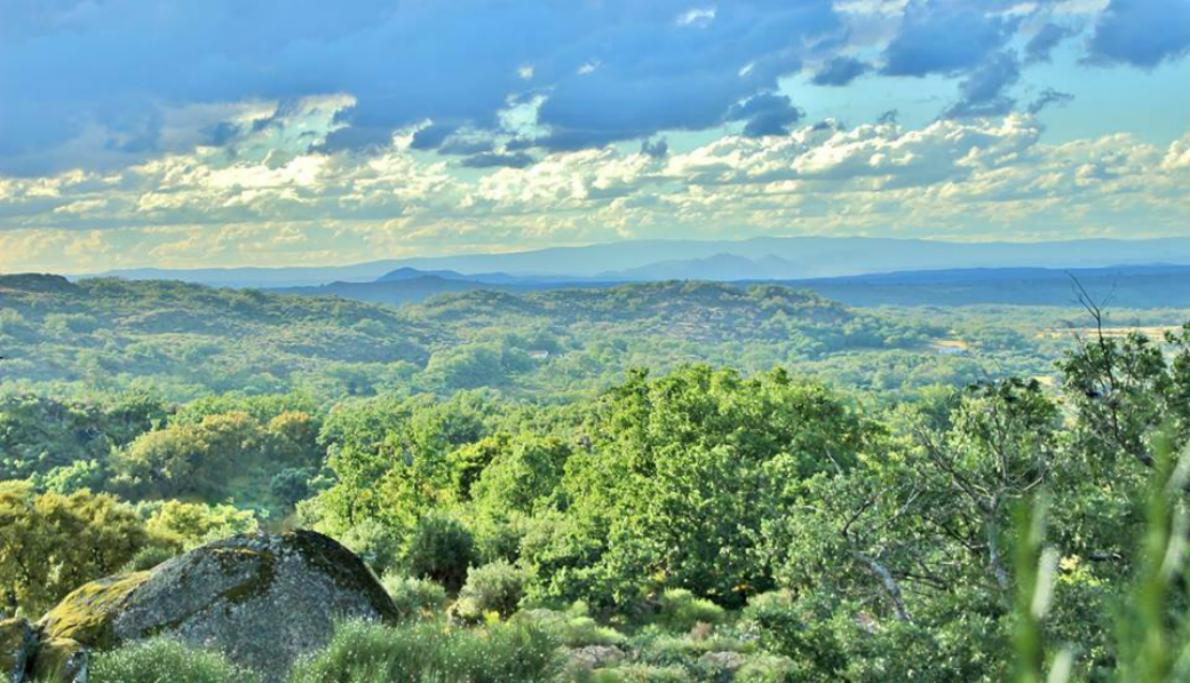 Гостевой дом Quinta Do Marvao Экстерьер фото