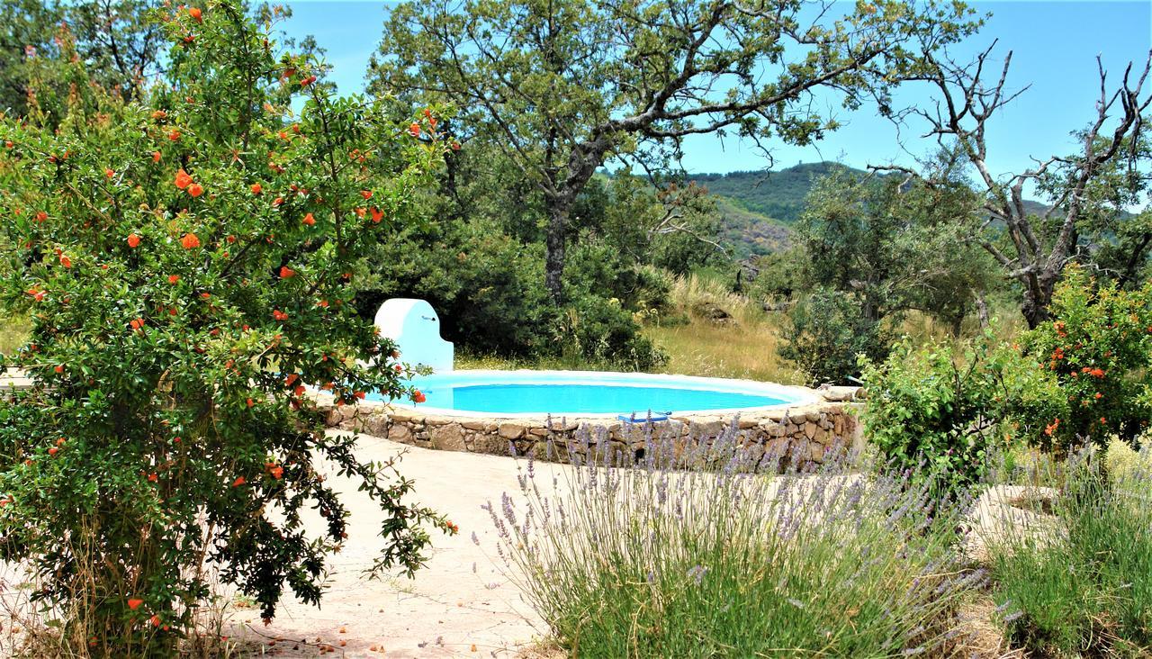Гостевой дом Quinta Do Marvao Экстерьер фото