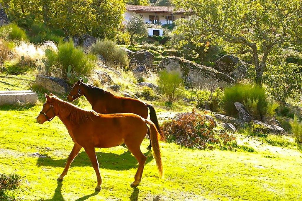 Гостевой дом Quinta Do Marvao Экстерьер фото