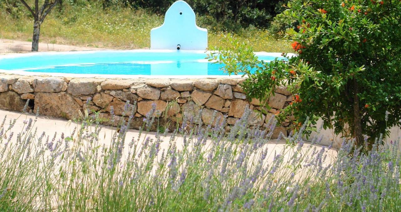 Гостевой дом Quinta Do Marvao Экстерьер фото